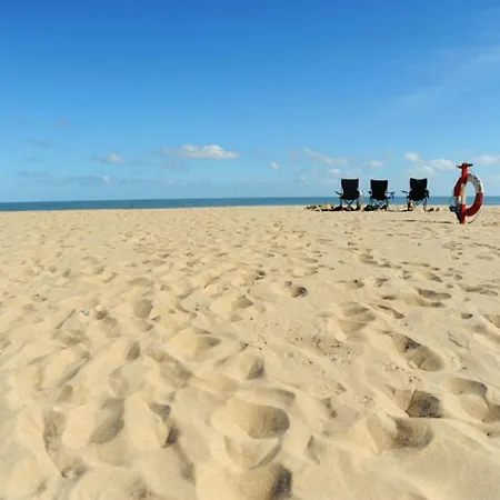 Teolai Holiday